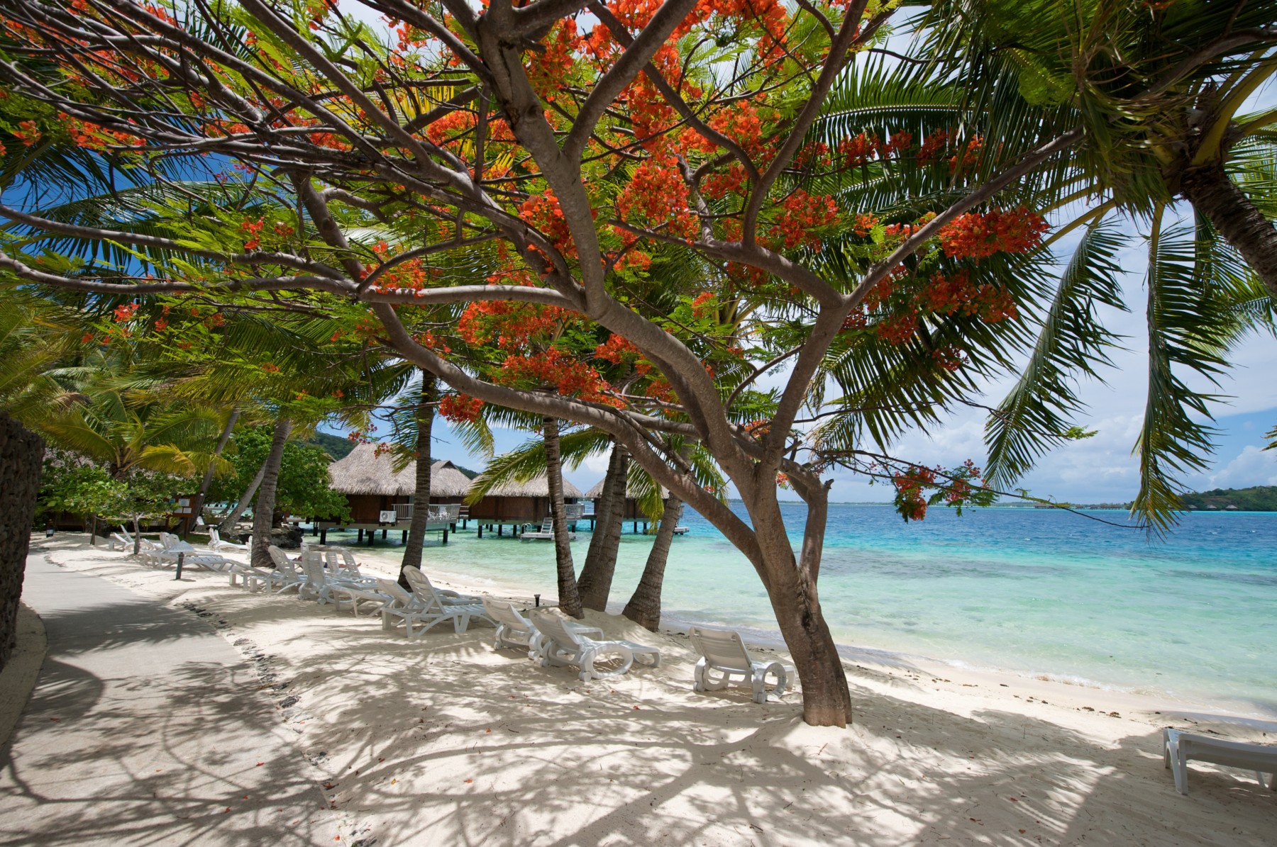 Maitai Polynesia Bora Bora